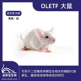 OLETF大鼠