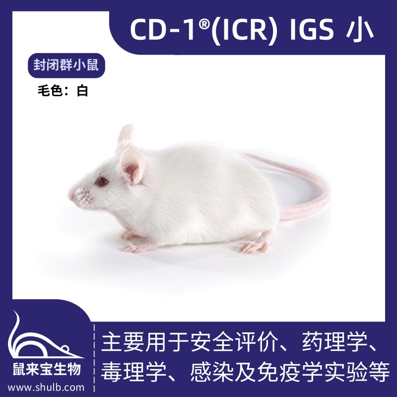 CD-1®(ICR) IGS小鼠