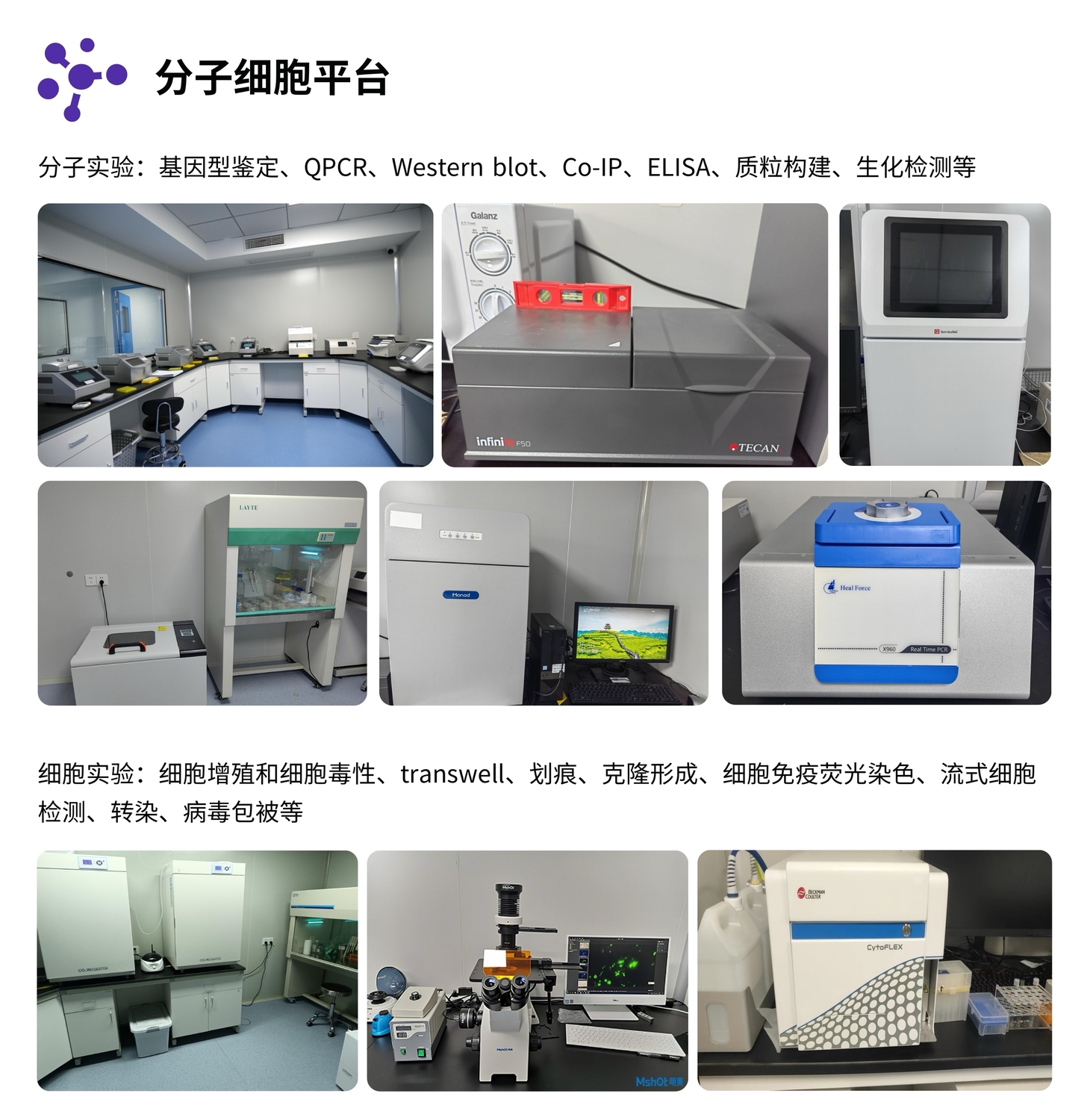 分子细胞平台.jpg