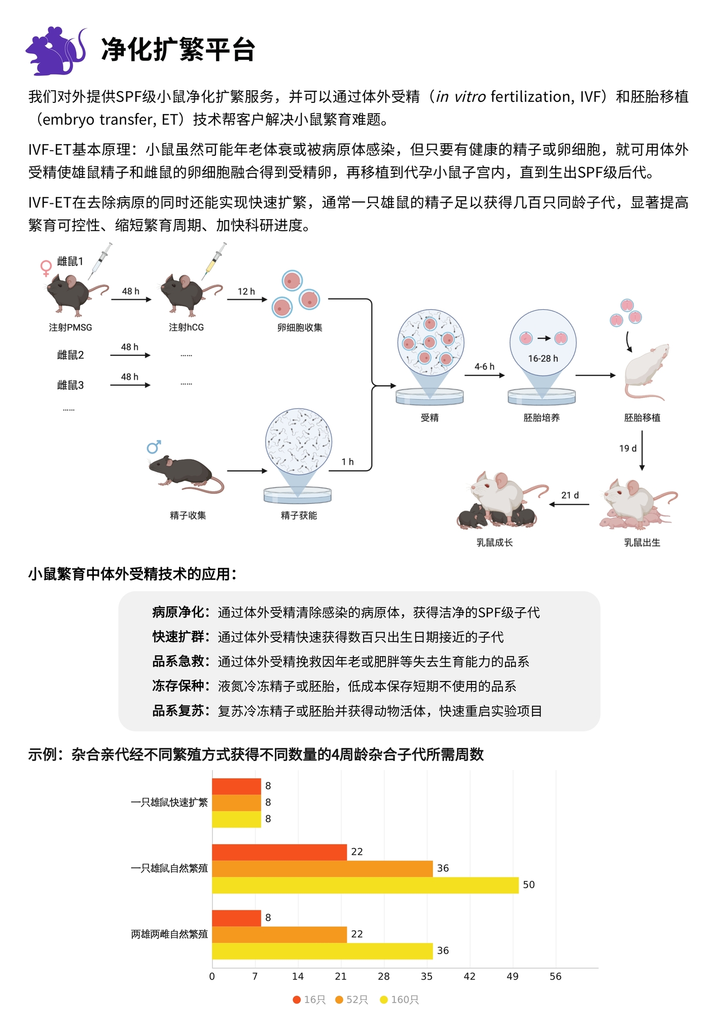 净化扩繁平台.jpg