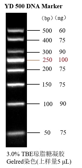 YD500 (50-500 bp) DNA Marker