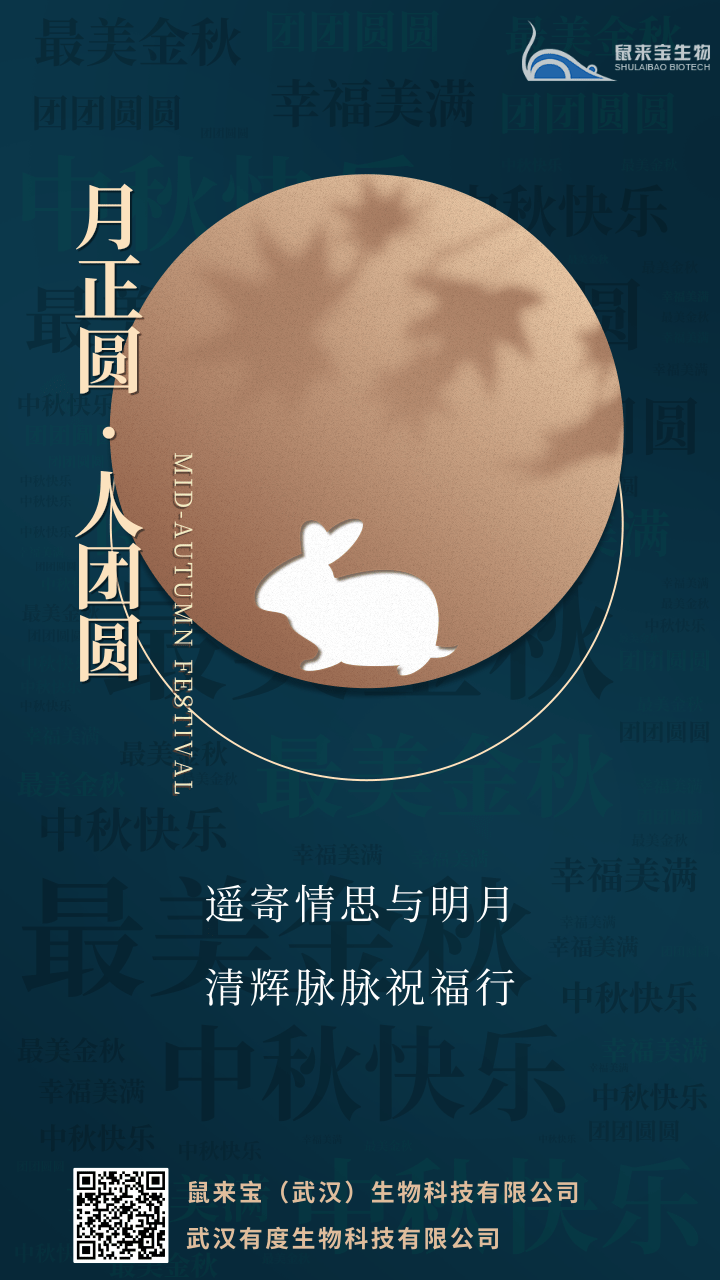 渐变中秋节词云手机海报.png