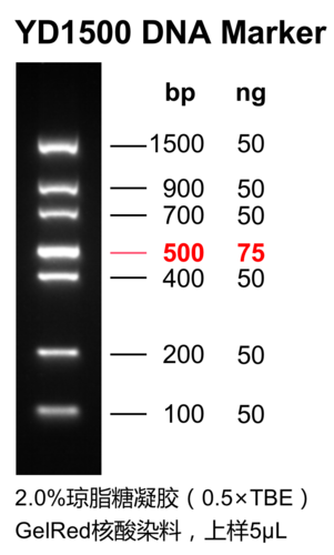 YD1500 DNA Marker.png